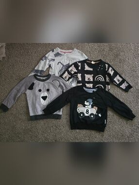 Bundle of 4 Toddler Boys Long Sleeve Sweatshirts / Pullovers Size 2T–3T